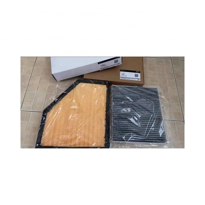810004001 Elemento de filtro de aire acondicionado libre de motor BEV para VOYAH y minorista