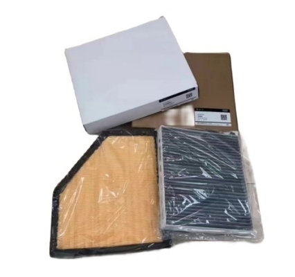 810004001 Elemento de filtro de aire acondicionado libre de motor BEV para VOYAH y minorista