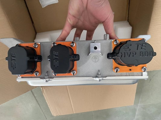 VOYAH W97C3619812AC 6.6kW Cargador para vehículos Envíos DHL UPS Fedex EMS Otros
