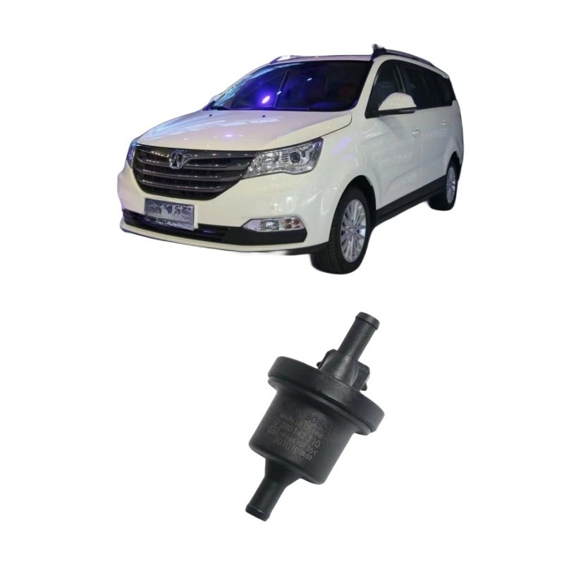 BAIC WEIWANG M35 306 307 M20 M30 205 206 M50F M35M60S50 Válvula de solenoide del tanque de carbono